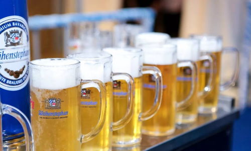 上海德国啤酒节又要来长宁了 你们准备好了吗