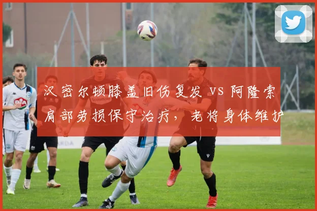 汉密尔顿膝盖旧伤复发 vs 阿隆索肩部劳损保守治疗，老将身体维护策略对比